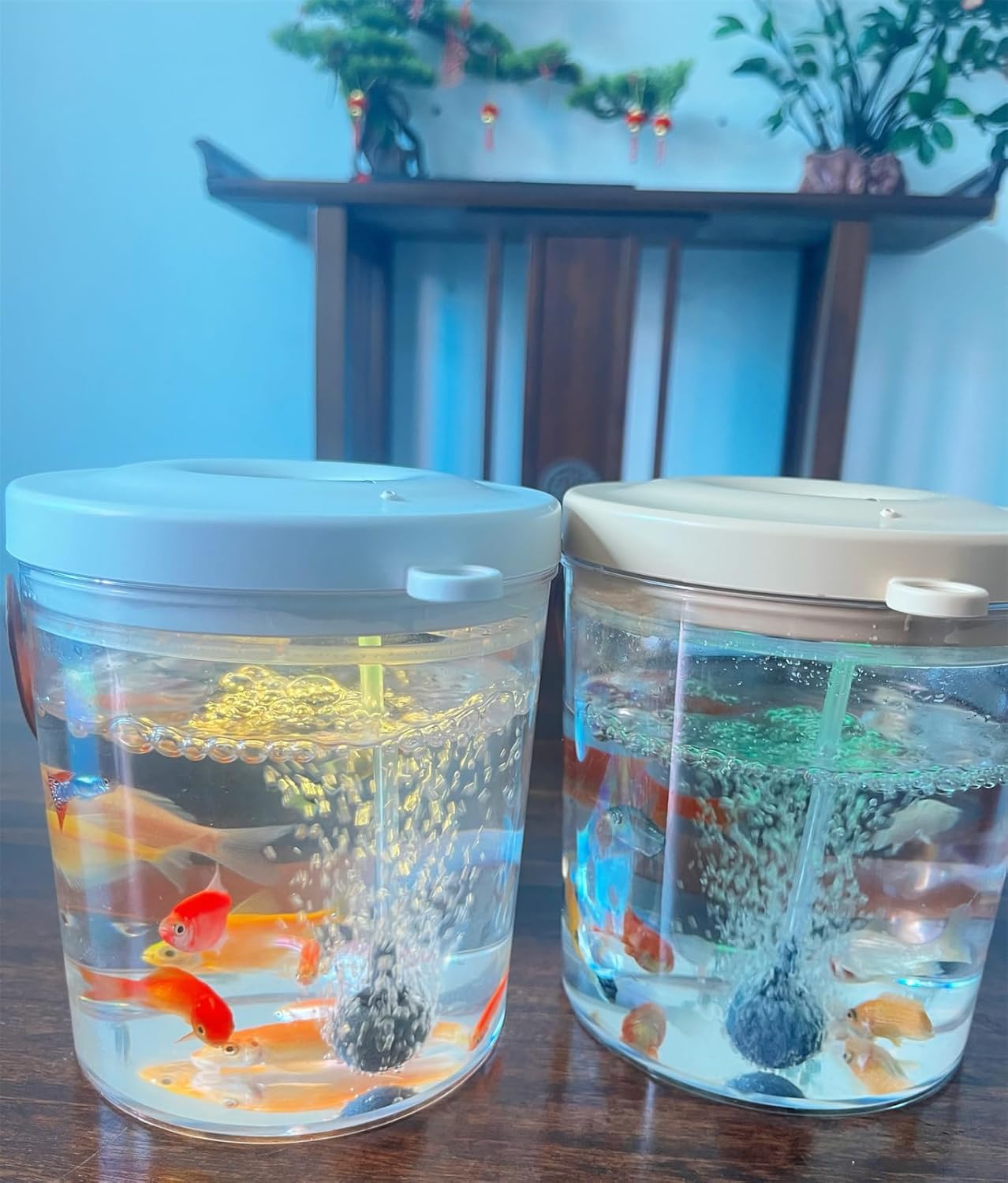 New Portable Oxygen-Supplying Mini Fish Tank