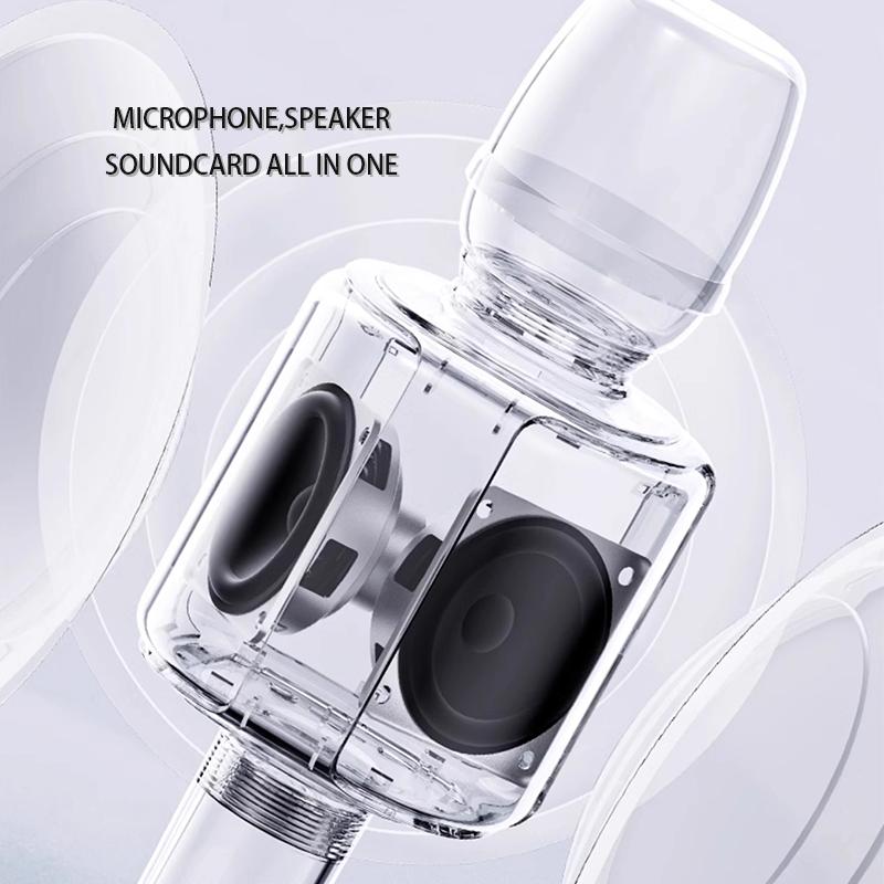 Professional Wireless Karaoke Microphone with Speaker and Soundcard